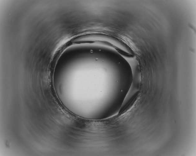 X0000091191164200708161543