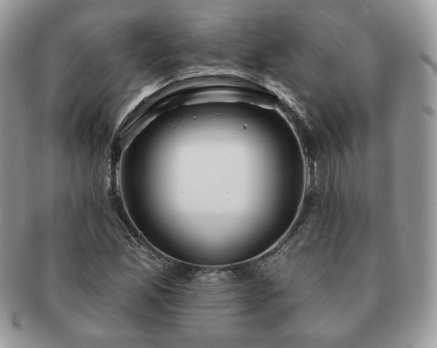 X0000091191165200708161543