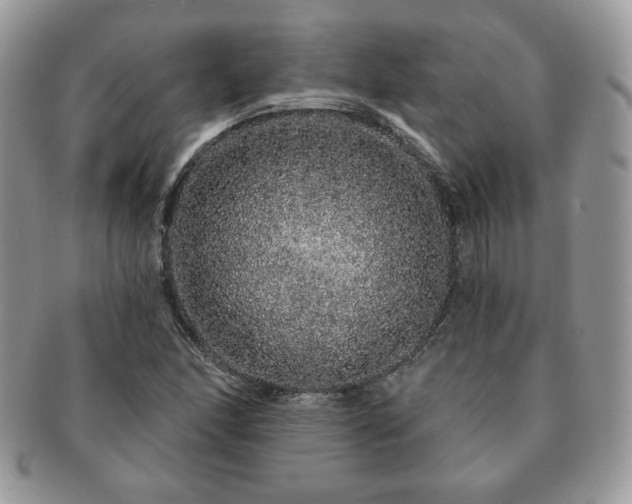 X0000091191166200708161543