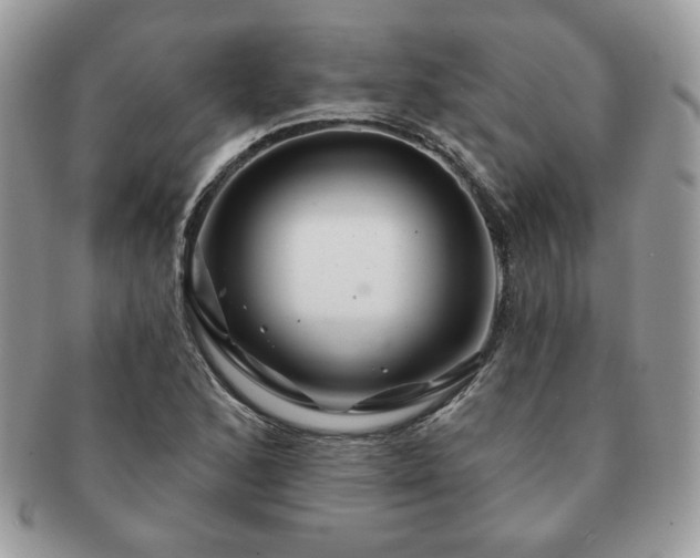 X0000091191168200708161543
