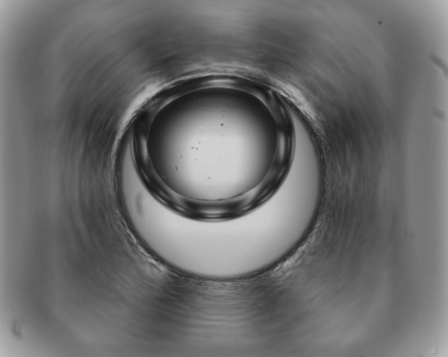 X0000091191172200708161543