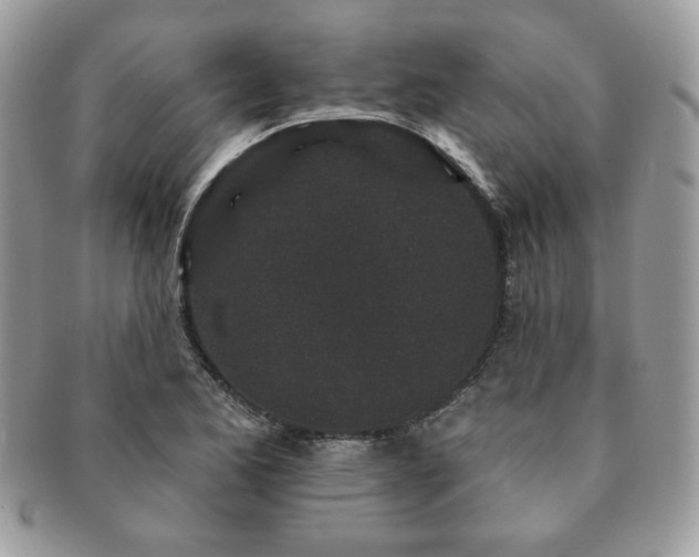 X0000091191173200708161543