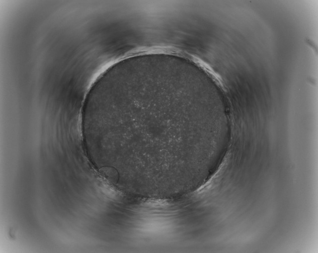 X0000091191174200708161543
