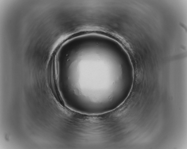 X0000091191175200708161543