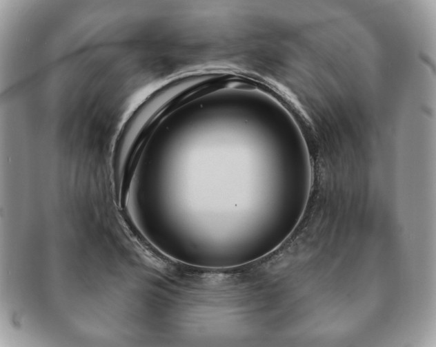 X0000091191176200708161543
