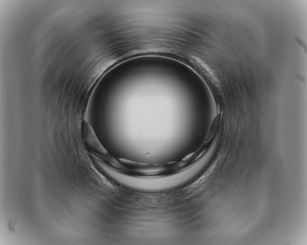 X0000091191177200708161543