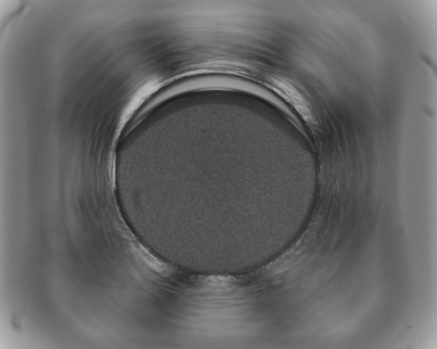 X0000091191180200708161543