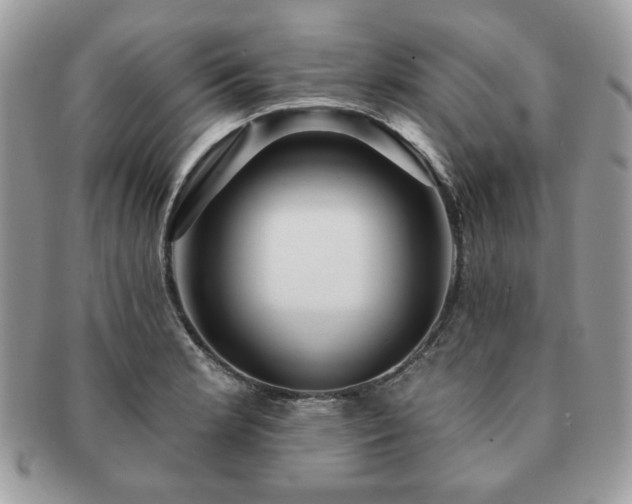 X0000091191181200708161543