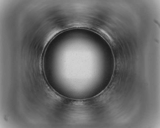 X0000091191182200708161543