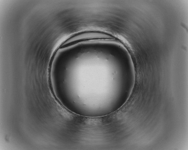 X0000091191183200708161543
