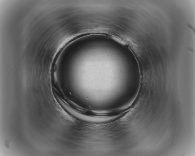 X0000091191184200708161543