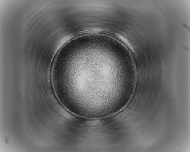 X0000091191186200708161543