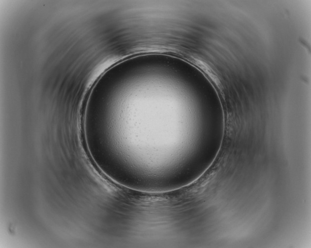 X0000091191187200708161543