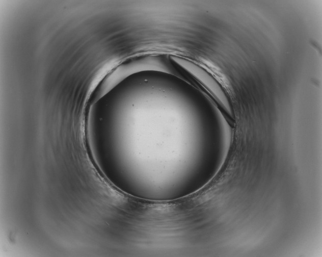 X0000091191188200708161543