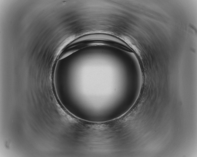 X0000091191189200708161543