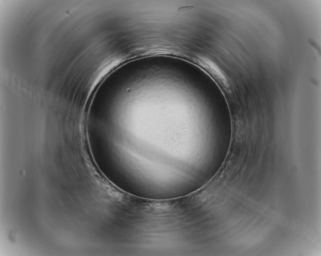 X0000091191190200708161543