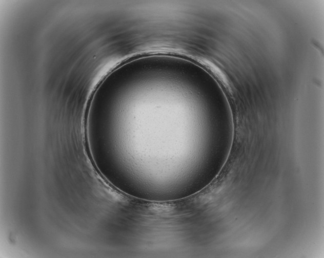 X0000091191191200708161543