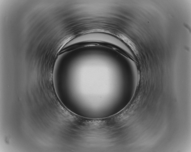 X0000091191193200708161543
