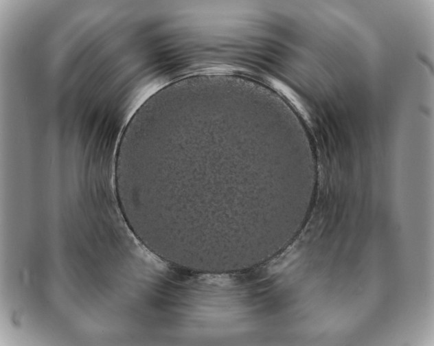 X0000091191194200708161543