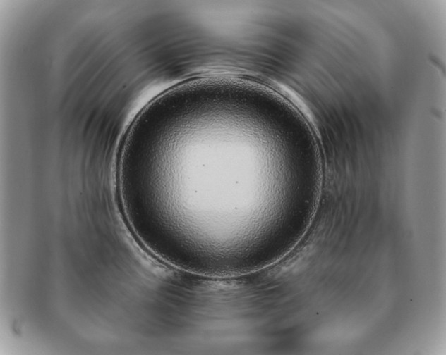 X0000091191195200708161543