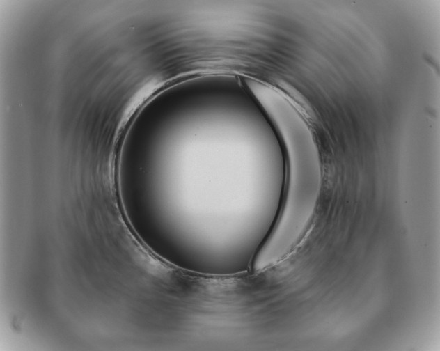 X0000091191196200708161543