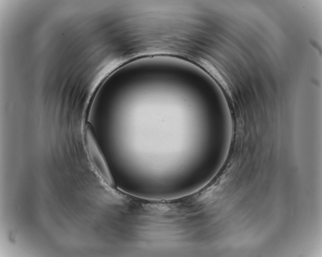 X0000091191197200708161543