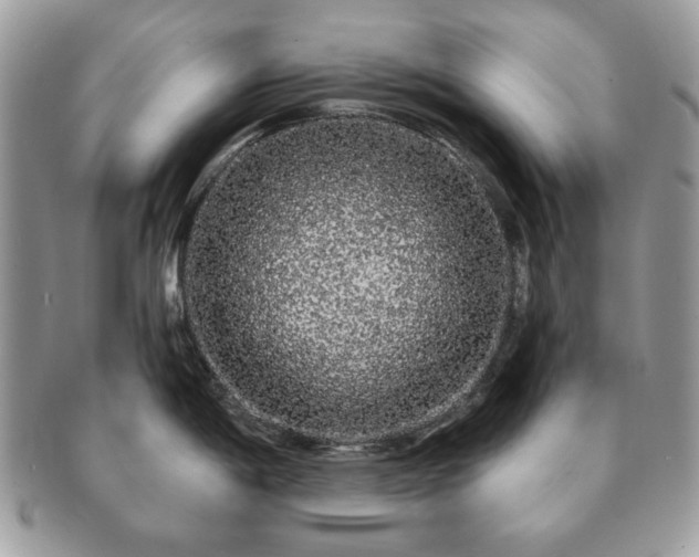 X0000091191198200708161543