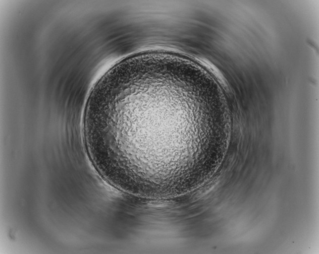 X0000091191199200708161543