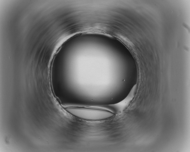 X0000091191200200708161543