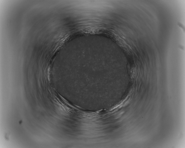 X0000091191202200708161542