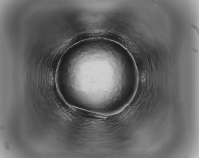 X0000091191204200708161542