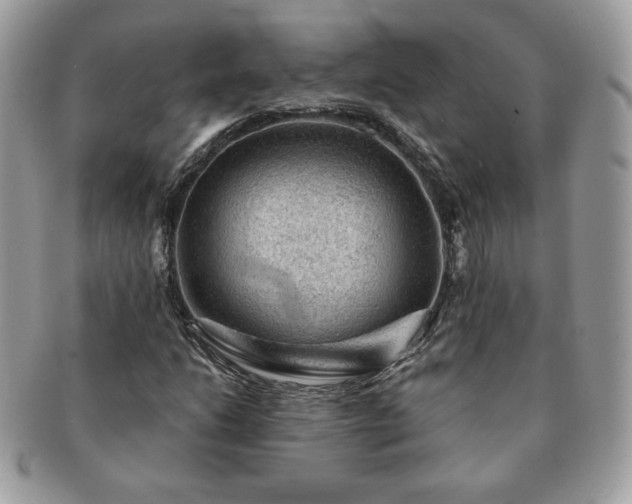 X0000091191206200708161542