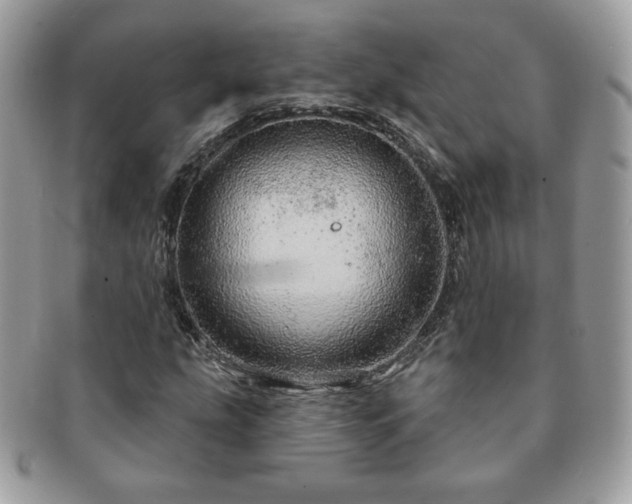 X0000091191207200708161542
