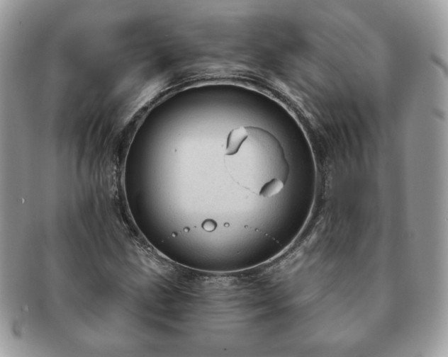 X0000091191211200708161542