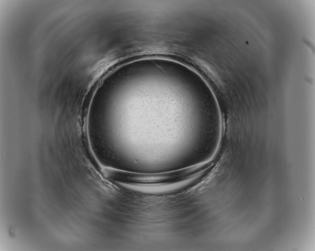 X0000091191212200708161542