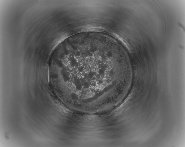 X0000091191219200708161543