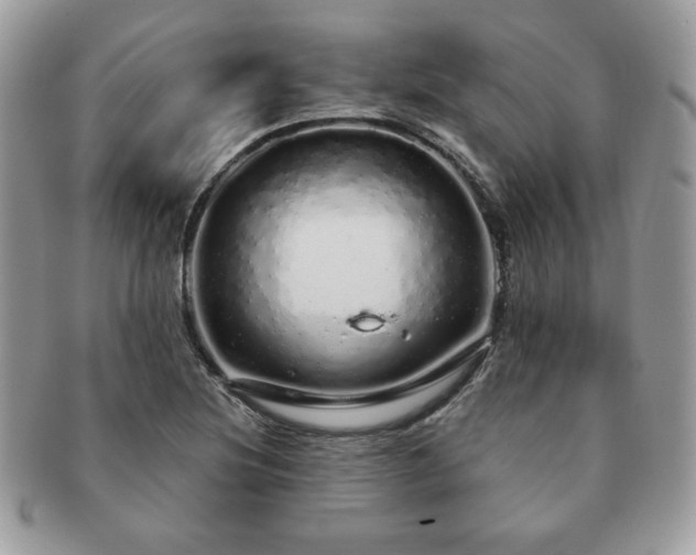 X0000091191220200708161543