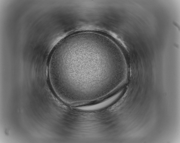 X0000091191221200708161543