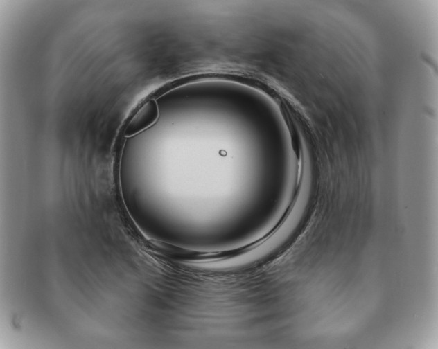 X0000091191222200708161543