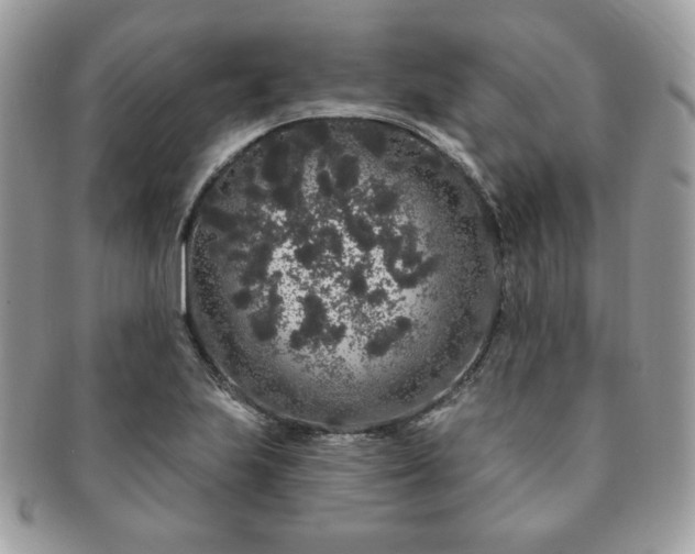 X0000091191223200708161543