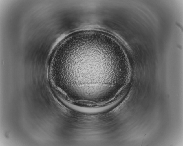 X0000091191224200708161543