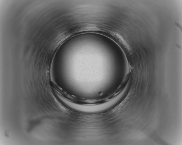 X0000091191225200708161543