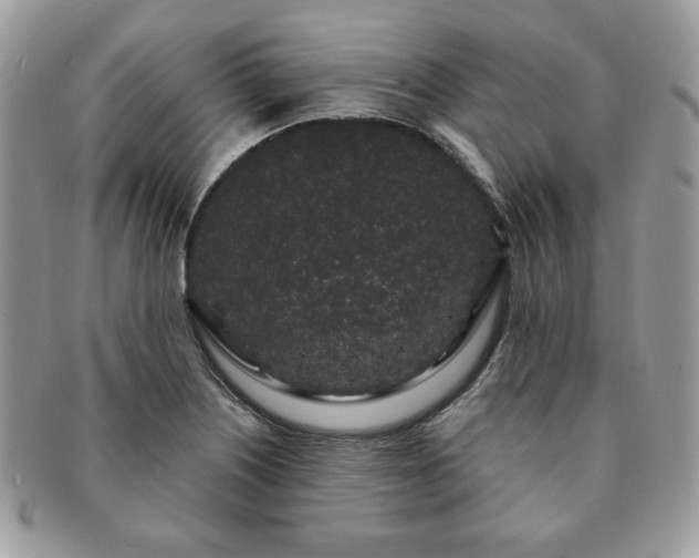 X0000091191226200708161543