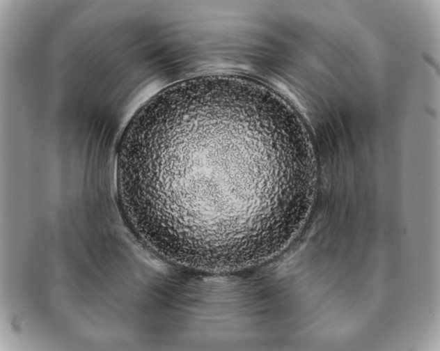 X0000091191227200708161543