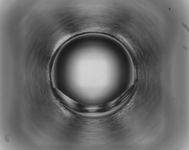 X0000091191230200708161543