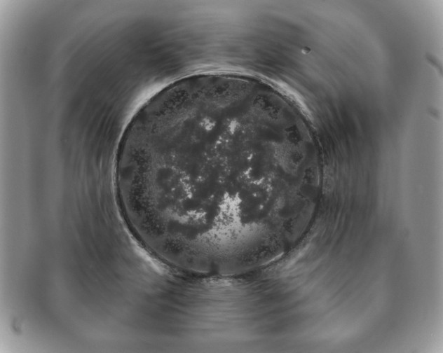 X0000091191231200708161543