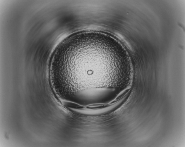 X0000091191232200708161543