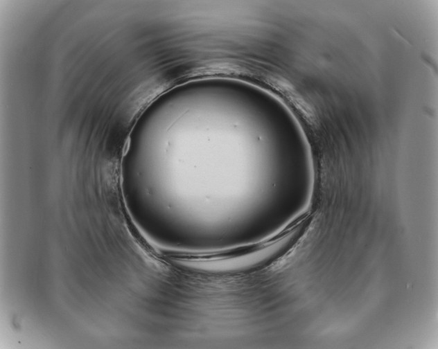 X0000091191233200708161543