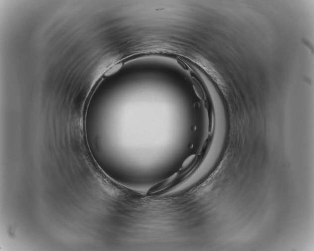 X0000091191234200708161543