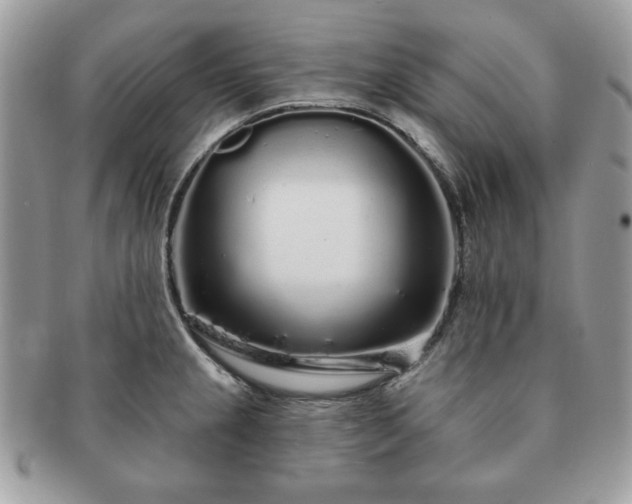 X0000091191237200708161543